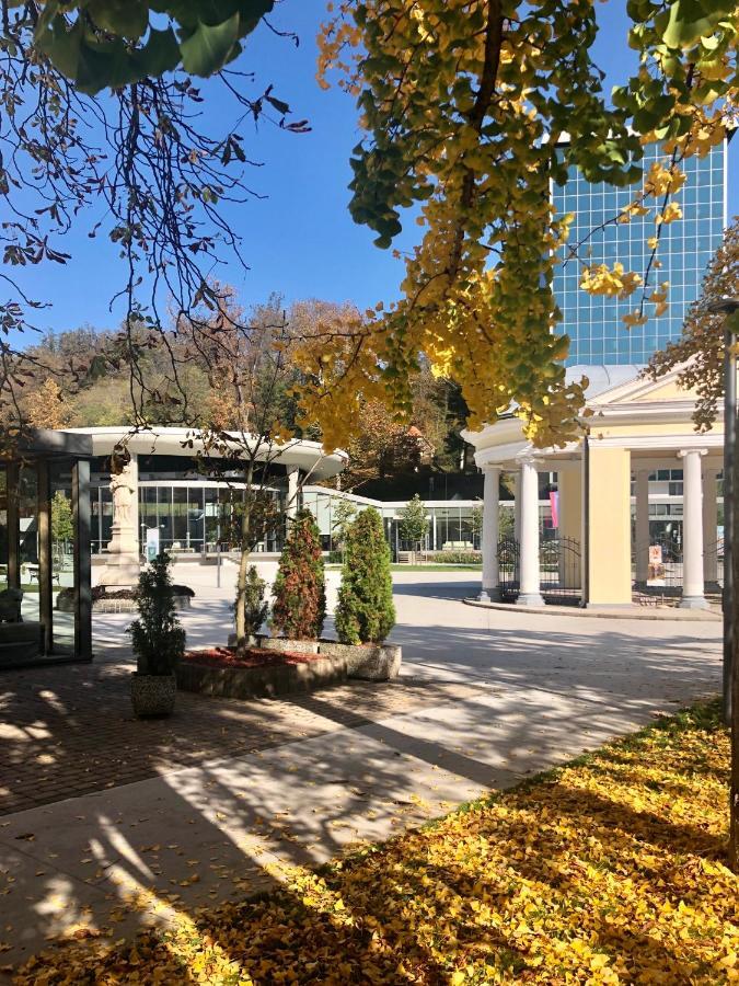 Apartment VilaPark 14 Rogaška Slatina Dış mekan fotoğraf